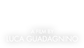 HERE - A Film by Luca Guadagnino